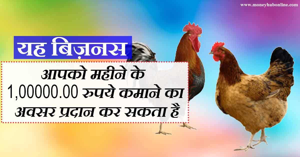 How to start poultry farming